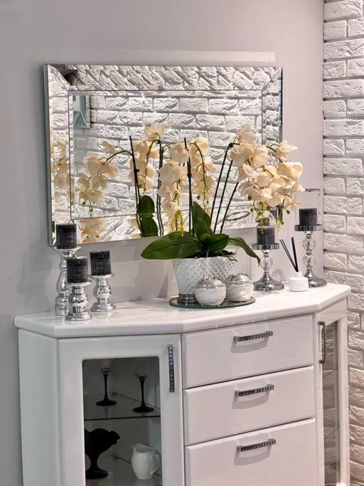Apartment Zamojski Mlynska *