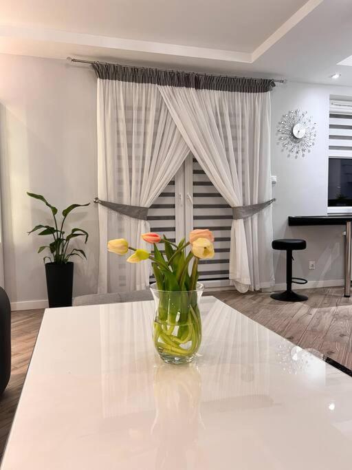 Zamojski Mlynska Apartment Zamosc (Lublin)
