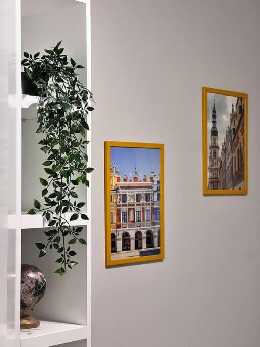 Zamojski Mlynska Apartment