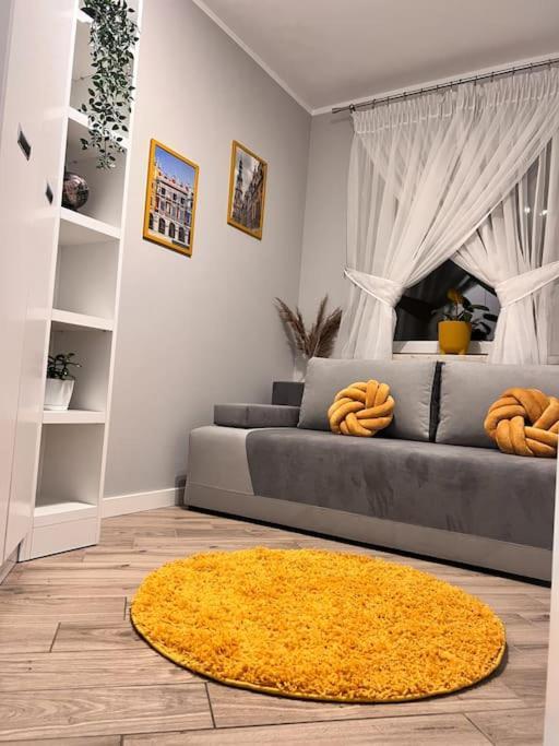 Apartment Zamojski Mlynska *